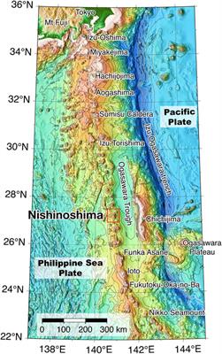Genesis and interaction of magmas at Nishinoshima volcano in the Ogasawara arc, western Pacific: new insights from submarine deposits of the 2020 explosive eruptions